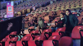 '세계 1위는 다르네' 안세영, 새똥에 원숭이 난입→'역대 최악' 인도 오픈 논란에도