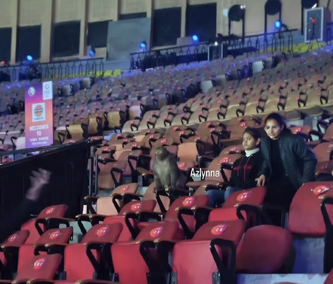 중국도 외면한 인도오픈의 민낯