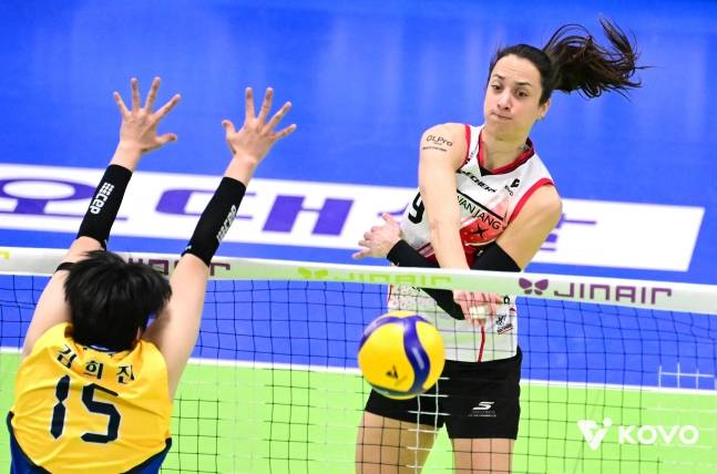 '사라진 자네테' 이마 찢어져 응급실로 향했다...