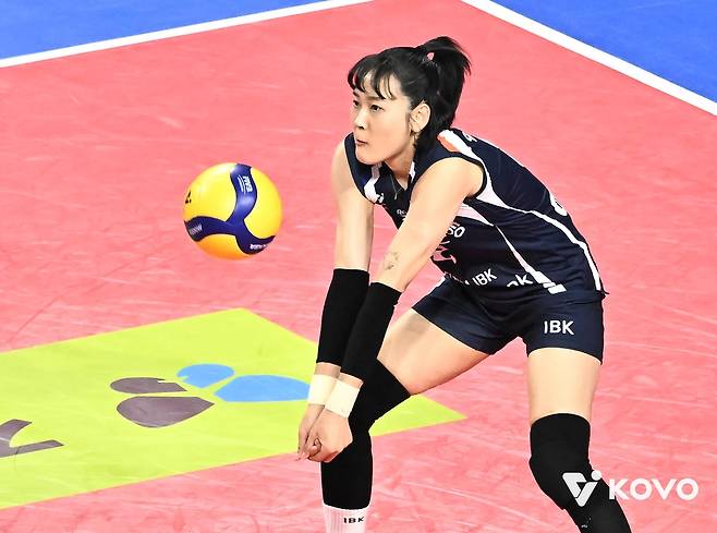 여자배구 '최리' 임명옥, 아킬레스건 파열로 수술…'시즌 아웃'