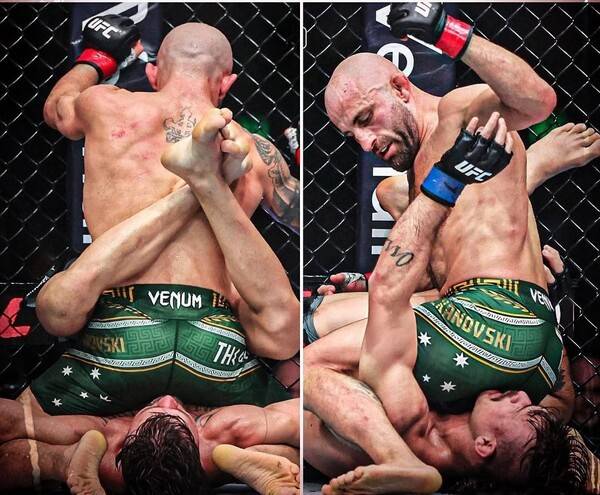 '엉덩이로 깔아뭉개고 난타' UFC 굴욕 장면→