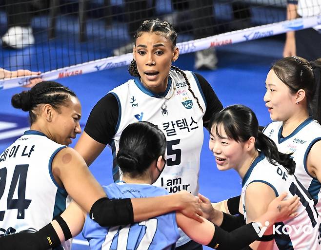 프로배구 '3위 싸움' 점입가경…남녀부 모두 대혼전 양상