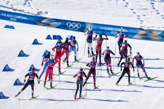 올림픽 스키장에 난입한 늑대개, 위험하거나 귀엽거나