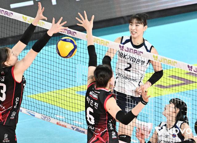 '4위 탈환' IBK 봄배구 희망의 불씨 계속...국내 5호 '수비 10,000개 성공' 황민경 선발 카드 통했다, 정관장에 셧아웃 승리 [MD대전]