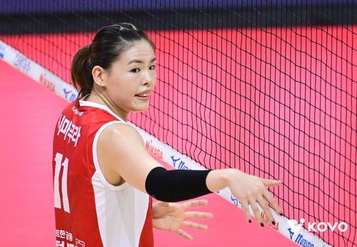 프로배구 아시아쿼터 알리·타나차 재계약할까…시마무라도 관심