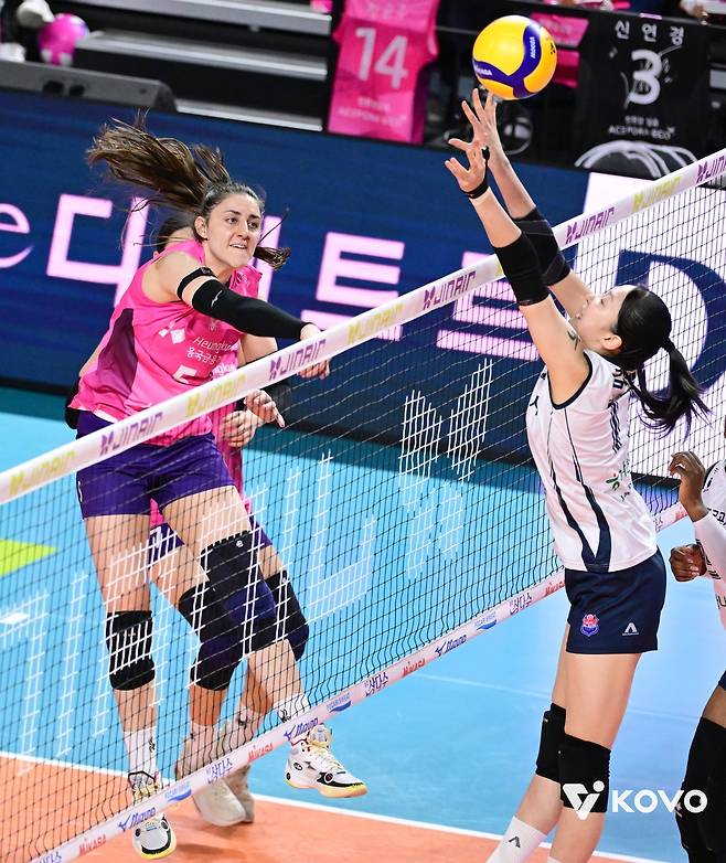 프로배구 아시아쿼터 알리·타나차 재계약할까…시마무라도 관심