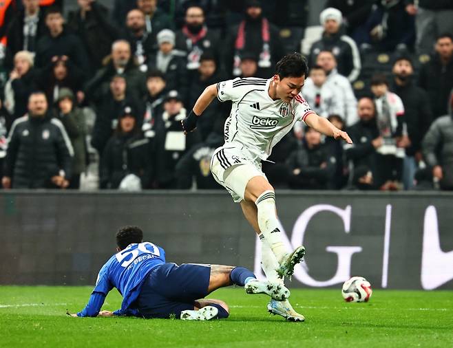 '오현규 환상골 또 터졌다' 시즌 15호골 폭발 '개인 커리어 하이'