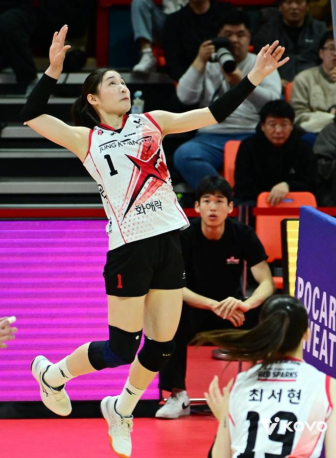 시즌 마친 인쿠시