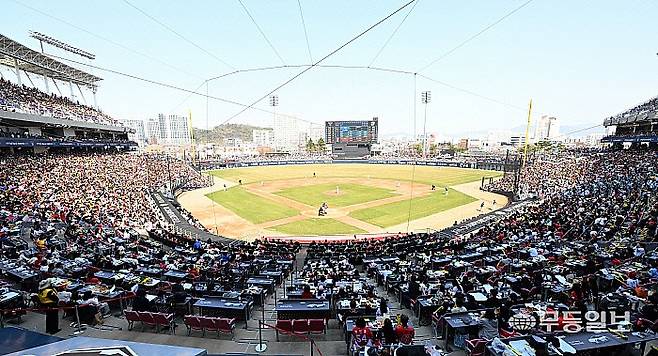 “우리는 KIA 타이거즈” 다시 타오르는 호랑이 기세···‘V13’ 정조준