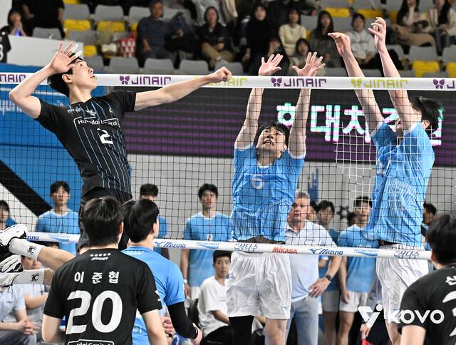 감독 경질·외인 교체…V리그 남녀 1위의 ‘파격’, 챔프전 흔들까