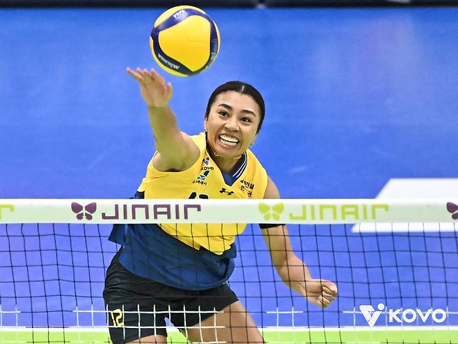 프로배구 일정 마친 외국인 선수들 속속 출국…'장기 체류'도