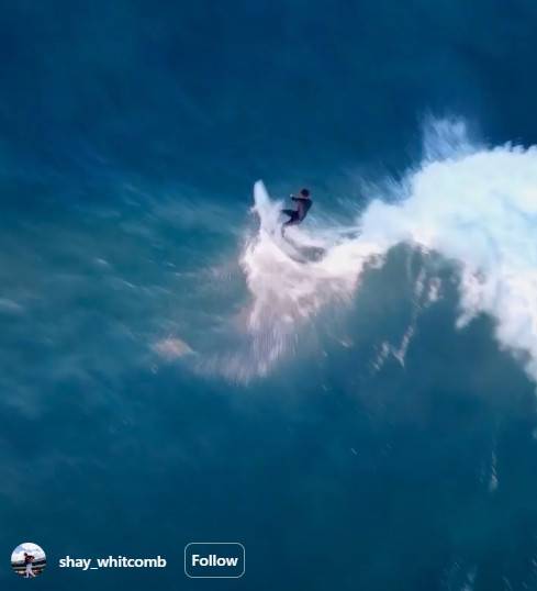 한국계 위트컴,