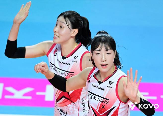 여자배구 FA 공시 초읽기…'최대어' 정호영 잡기 본격화할 듯