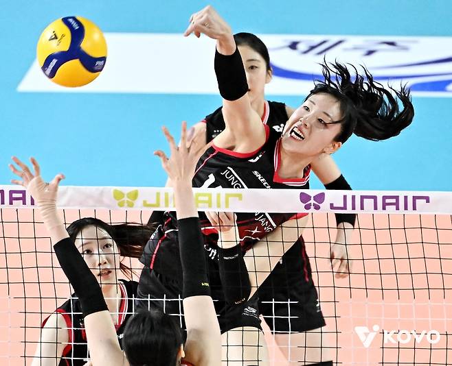 여자배구 FA 공시 초읽기…'최대어' 정호영 잡기 본격화할 듯