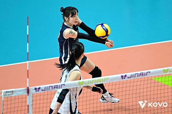 여자배구 FA 공시 초읽기…'최대어' 정호영 잡기 본격화할 듯