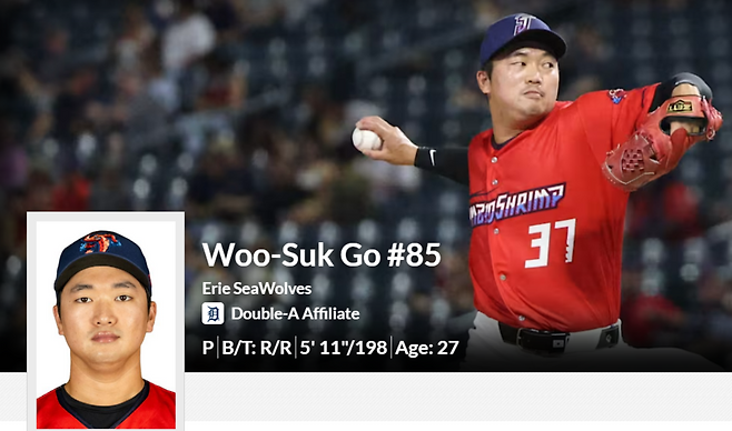 고우석 대신 MLB 가나… 악연의 前 한화 투수 승승장구, MLB에서 KBO 동창회 성사?