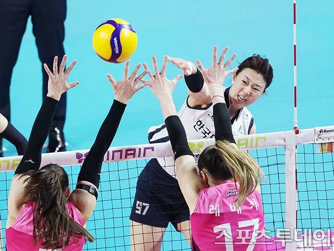 강소휘·김다인·정호영 등 여자배구 국가대표 명단 18명 발표…20일 진천 소집