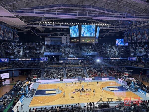 '고의 패배로 소노 선택 의혹' SK, '3-0 스윕하고 우뚝 선' 소노[초점]