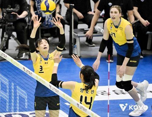 여자배구 FA 최대어 세터 김다인, 현대건설 '잔류' 가닥