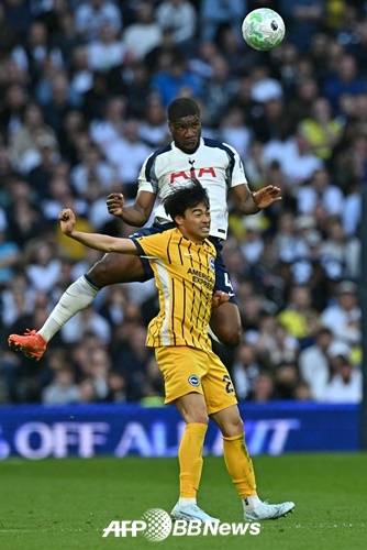 '내가 잔류 희망 날렸구나' 무릎 꿇고 절망한 토트넘 수비수