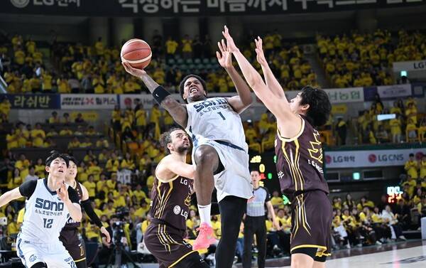 이번에도 5위 팀 우승 나오나? 소노, LG 꺾고 플레이오프 무패 행진 이었다