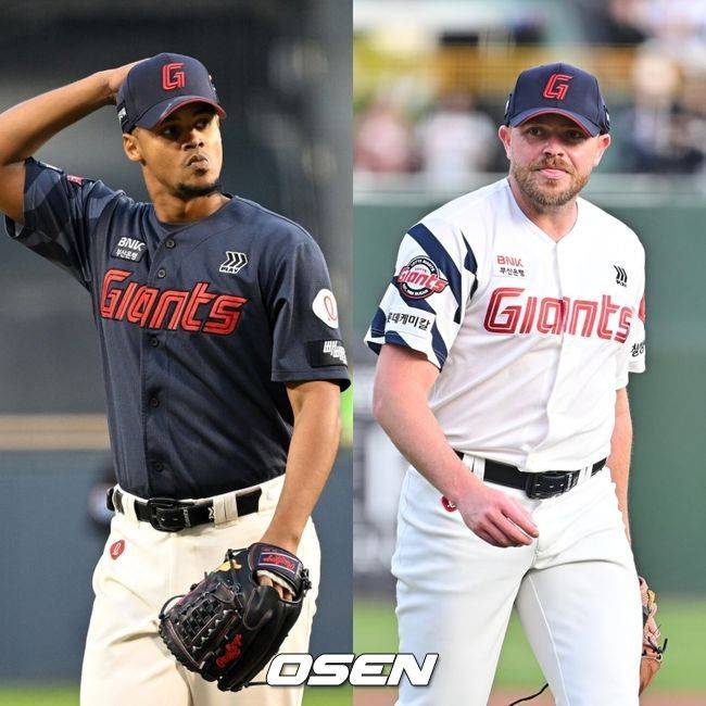 '와 1위-1위' 무너지는 롯데를 지탱한 토종 선발 트리오…외인 원투펀치 반등 하면, 재도약 충분하다