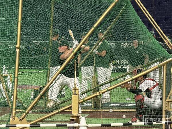 한국전 패배 후 펑펑 울던 호주의 야구 천재, 마침내 MLB 데뷔한다...클리블랜드, '1순위' 바자나 전격 콜업