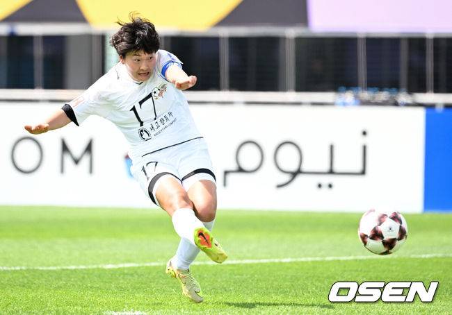 '태극기는 안 된다더니...' 수원 한복판에 일장기·인공기 펄럭, 북한 내고향은 1-0 승리→15억 챙기고 우승