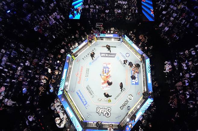 '충격' 월드컵보다 UFC였다…즐라탄 돌발 행동 화제