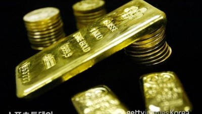 '나라 망신' 한국인 격투기 선수, 日서 금 밀수하다 구속…금메달로 속여 운반