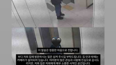 집에 오지 말라 프로야구 선수 아내의 호소…공포로 변한 '팬심'→야구도 축구도 예외 없다