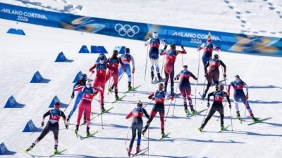 올림픽 스키장에 난입한 늑대개, 위험하거나 귀엽거나