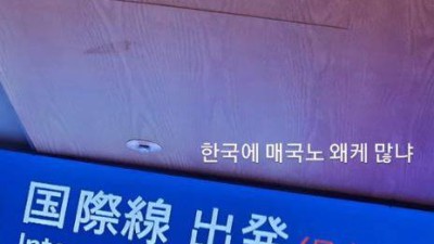 한국에 매국노가 왜 이렇게 많냐 비판 올랐던 안산, 부활 신호탄...국대 선발전 3위→AG 정조준