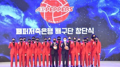 매각 추진 ‘AI페퍼스’ 광주 연고 이전?···프로스포츠 즐기기 힘든 지방