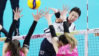 강소휘·김다인·정호영 등 여자배구 국가대표 명단 18명 발표…20일 진천 소집