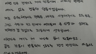 '음주운전' 안혜진, 변명의 여지도 없는 경솔한 행동...평생 반성하는 마음으로 살아가겠다 사과문 게시