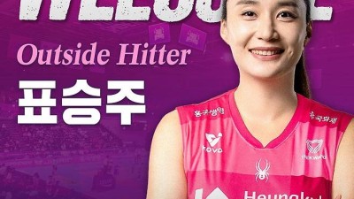 8년간 멈춰있는 배구 FA…선수도 구단도 운다