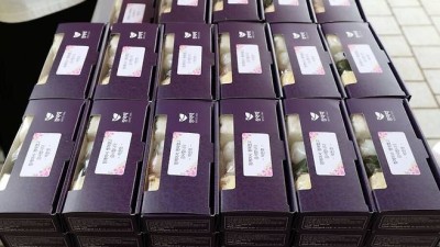 ‘감동의 인사’ 박찬호 역대급 보폭, 광주 시내 떡 동났을까… KIA도 “우리도 함께여서 행복했다”