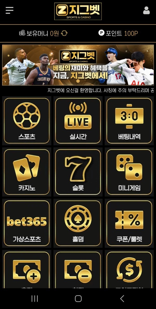 지그벳후기