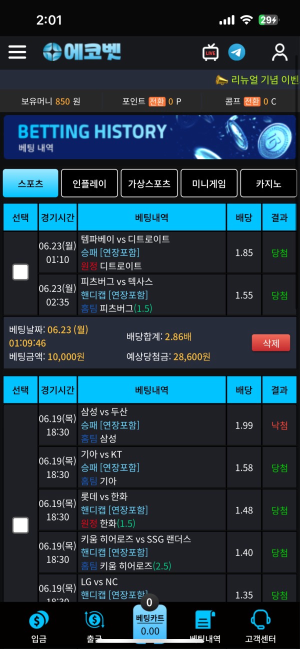 에코벳 후기