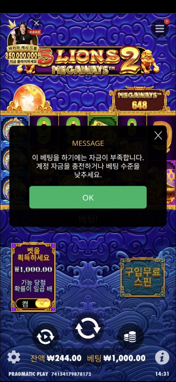 홈카
