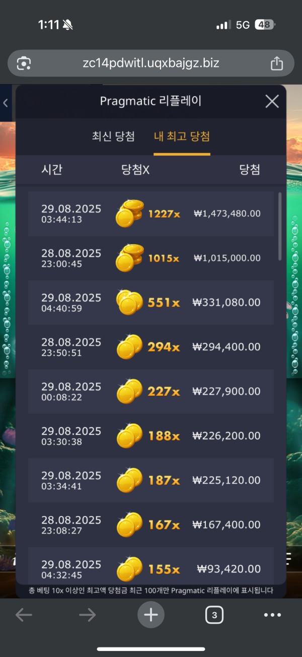 슬롯 후기