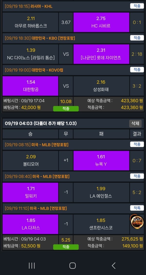 벳클라우드 후기