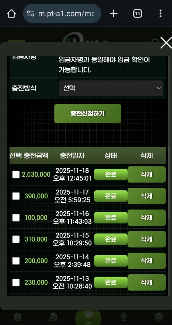 페페 비제휴 후기