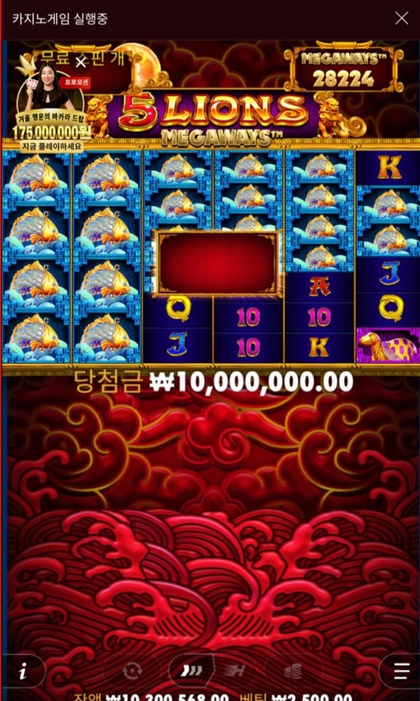 업카 물고기 한판