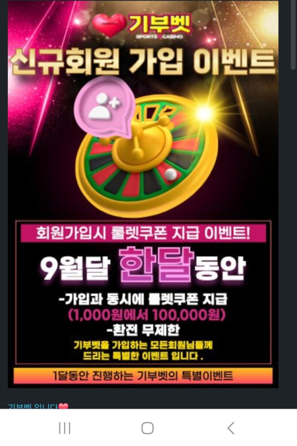 기부벳후기