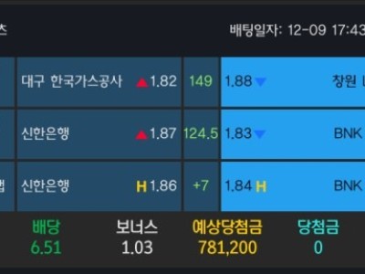 알파카지노 후기