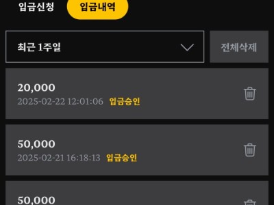에카 후기