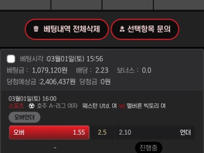 메이저 범퍼카후기