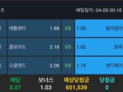 알파카지노 후기